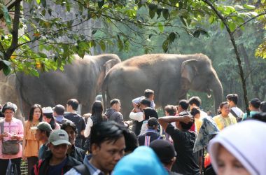 Buka Saat Libur Lebaran, Polisi Minta Tempat Rekreasi Jual Tiket Secara Online
