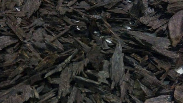Kynam Kayu Terlangka dan Termahal di Dunia