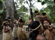 Kebakaran Hutan di Amazon, 7 Negara Sepakati Pakta Perlindungan