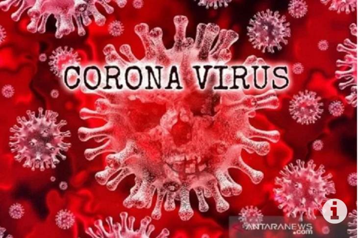 Ilustrasi-Virus corona (Antaranews)