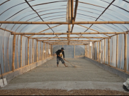 Manusia, Alam, dan Kopi Terangkum dalam Dokumenter ‘Legacy of Java’