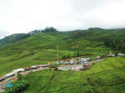 Ganjil Genap Redam Wisatawan Datang ke Puncak Bogor