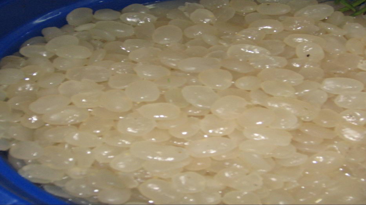 Selain Susu, Kolang-Kaling pun Baik untuk Tulang