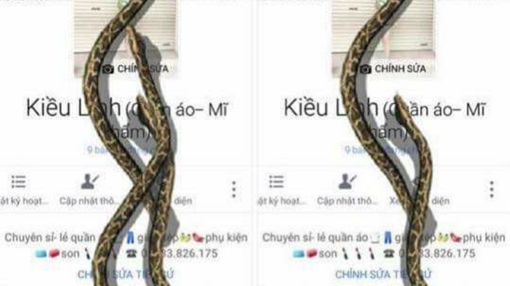Muncul Ular di Layar Gawai, Ini Fakta Sebenarnya
