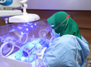 Bundamedik, Induk Usaha DGNS Siap Melantai di Bursa