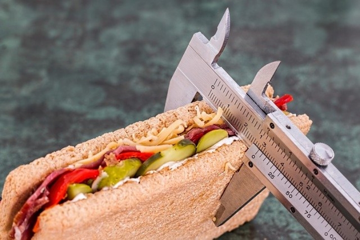 Kurangi porsi makan. (Foto: Pixabay/stevepb)