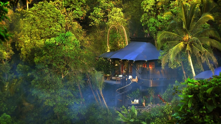 'Dream Now Travel Later', Menginap di Hutan Bali Setelah Pandemi