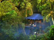 'Dream Now Travel Later', Menginap di Hutan Bali Setelah Pandemi