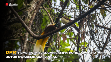 DPR: Pemerintah Jangan Sampai Korbankan Hutan untuk Swasembada Pangan!
