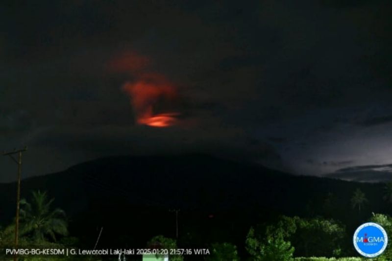 NTT Kembali Bergetar! Erupsi Gunung Lewotobi Laki-laki Keluarkan Kolom Abu Tebal ke Utara dan Timur Laut