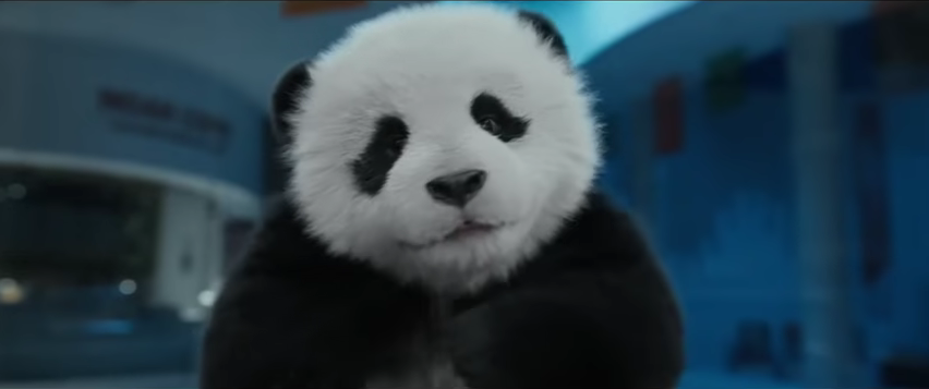 Film Panda Plan yang dibintangi Jackie Chan. Foto Youtube