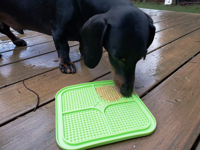 Lick Mat. (Foto Insider)