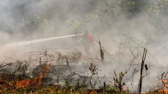 Karhutla Sebabkan Gangguan Tumbuh Kembang dan Rampas Hak Anak