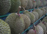 Penjualan Durian Tanpa Isi Bikin Heboh di Masjid Cheng Hoo Pasuruan