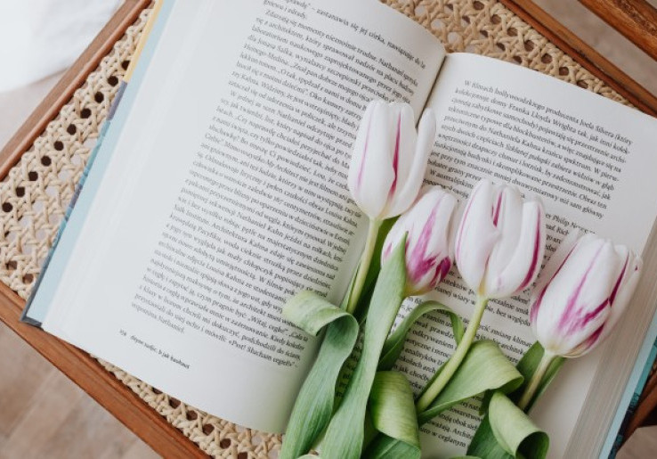 Rekomendasi Novel untuk Temani Perjalanan Mudik