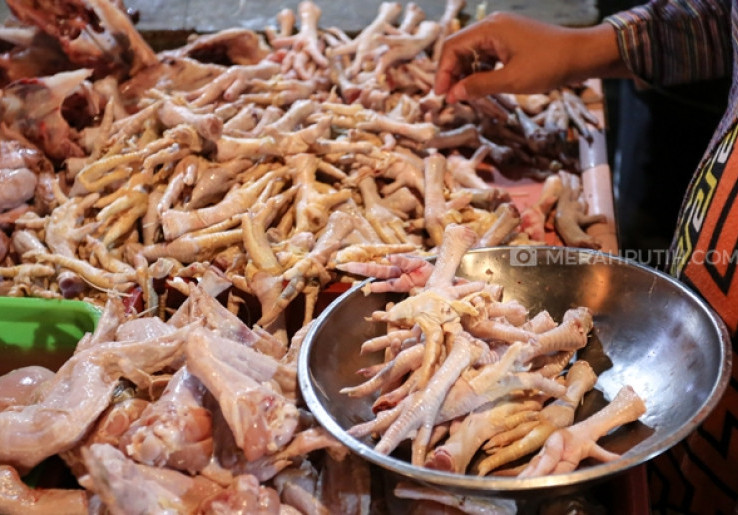 Kementan Klaim Indonesia Sudah Swasembada Daging dan Telur Ayam, Sapi Masih Impor