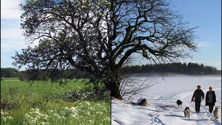 Summer Vs Winter: Kapan Waktu Terbaik untuk Bepergian?