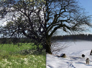 Summer Vs Winter: Kapan Waktu Terbaik untuk Bepergian?