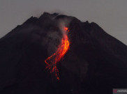 Gunung Merapi Keluarkan 23 Guguran Lava Pijar Sejak Pagi Hari