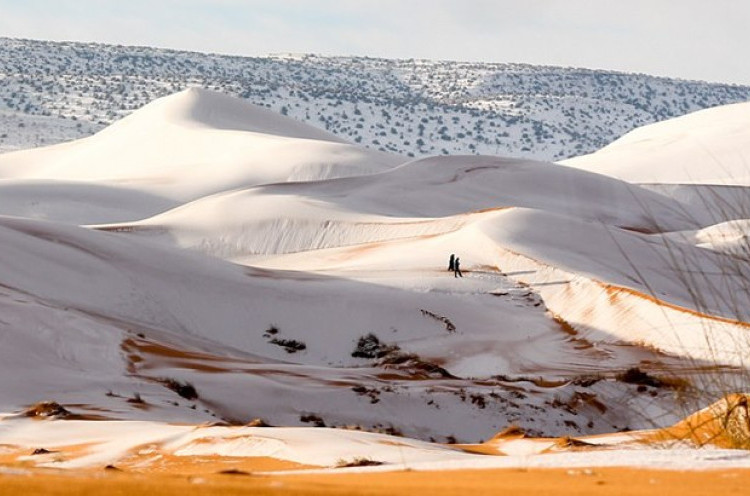 Efek Perubahan Iklim, Sahara Tertutupi Salju