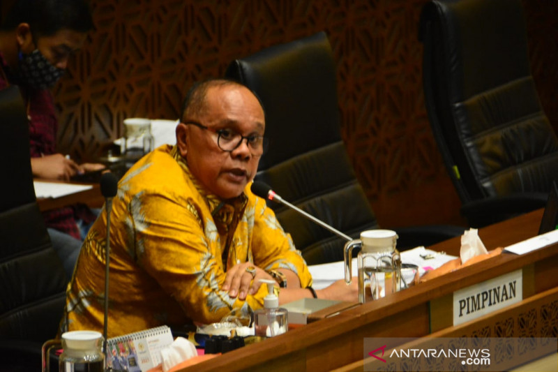 Wakil Ketua Komisi II DPR RI Junimart Girsang. ANTARA/Dokumentasi Pribadi