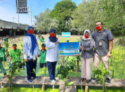Penanaman 5.000 Bibit Mangrove di PIK Tingkatkan Kualitas Lingkungan Hidup