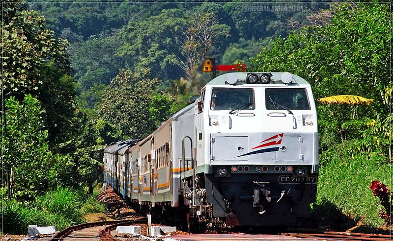 Jelang Lebaran, KAI Daop 9 Operasikan Kembali KA Wijayakusuma dan Mutiara Timur