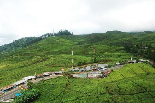 Pembangunan Jalur Puncak II di Cianjur Terbengkalai