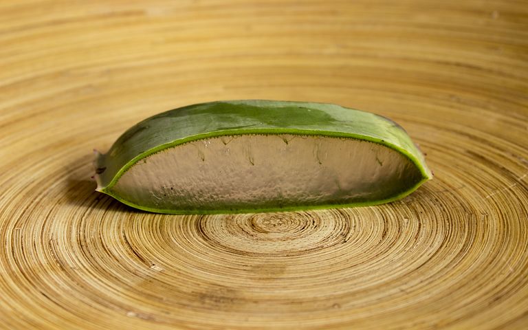 Oleskan gel lidah buaya untuk meredakan ruam kemerahan pada kulit yang iritasi (Sumber: Pixabay/Metsikgarden)