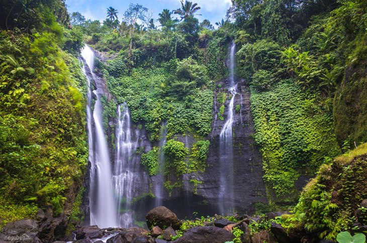 bali