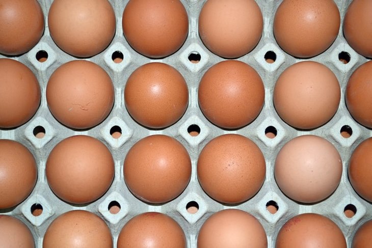 telur
