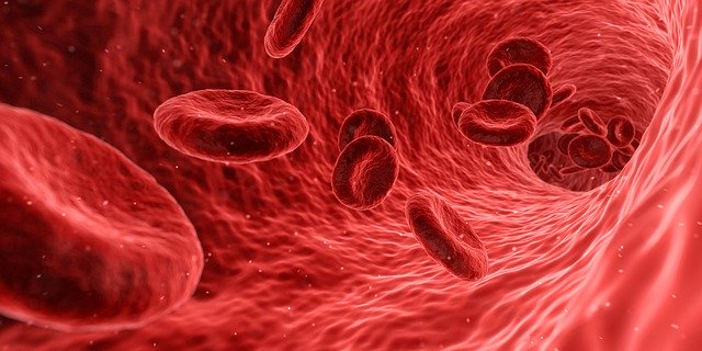 malaria