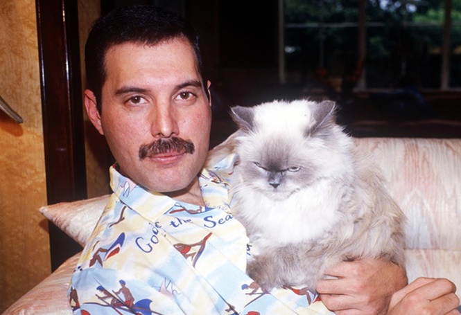 Freddie Mercury