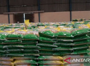 Harga Beras SPHP Diklaim Lebih Murah Dibanding Beras Medium, Hari Ini Harga Beras Capai Rp 13.954 Per Kg Masih di Atas HET