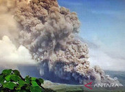 1.979 Jiwa Mengungsi akibat Awan Panas Guguran Semeru