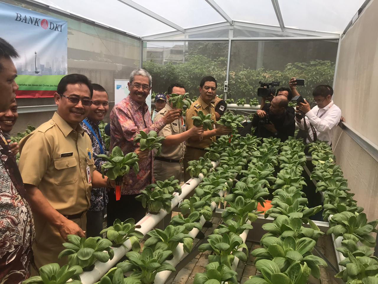 Bangun Kebun Hidroponik di Rusun, Bank DKI Berharap Penghuni Jadi Pengusaha Sayur