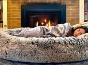 Plufl, Tempat Tidur Anjing Pertama di Dunia untuk Manusia