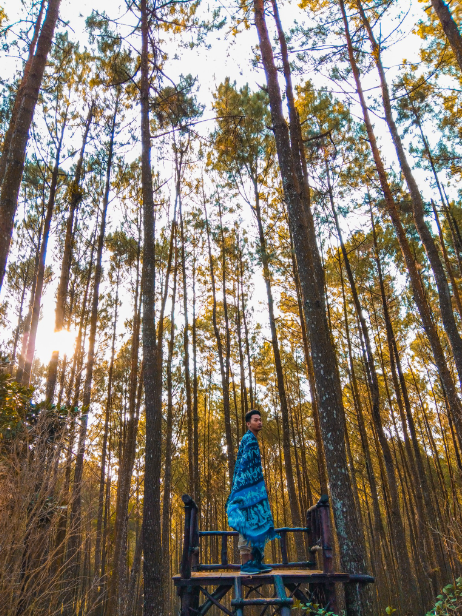 Hutan Pinus Mangunan di kawasan Bantul DIY. (Foto: Pemkab Bantul)