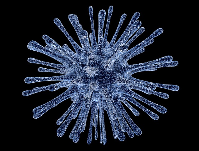 Makan mentah bisa berpotensi terkena virus tokso. (Foto: Pixabay/PublicDomainPictures)