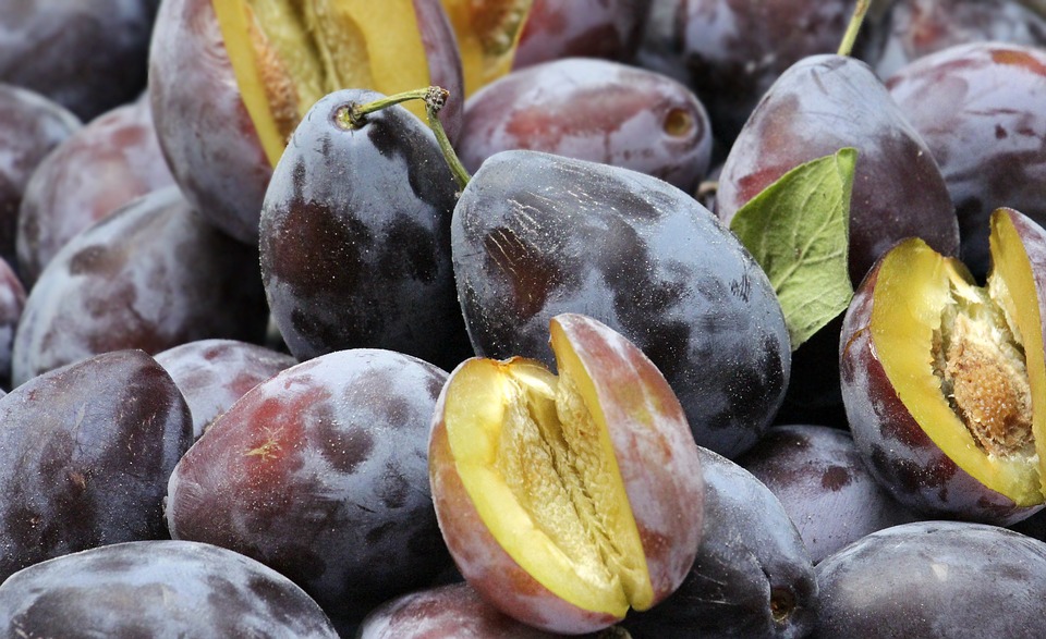 Plum hitam (Sumber: Pixabay/pixel2013)
