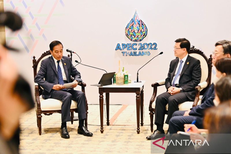 Jokowi Ajak Investor Hong Kong Dukung Pembangunan IKN Nusantara