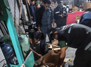 Satwa Dilindungi Kasturi Kepala Hitam, Kakatua Koki dan Nusu Bayan Diperjualbelikan di Facebook