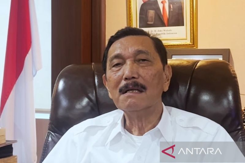 Luhut Bantah Pabrik Tesla di Shanghai Gunakan 100 Persen LFP