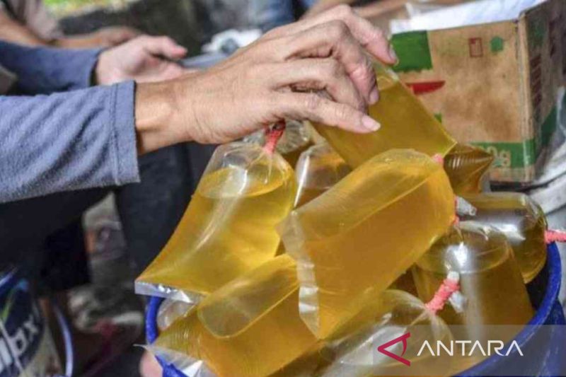 Lebih dari 600 Ribu Ton Minyak Goreng Tersalurkan ke Masyarakat