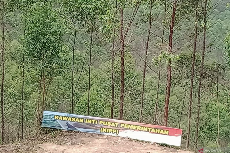 Pembangunan IKN Nusantara Dapat Bantuan Teknis ADB