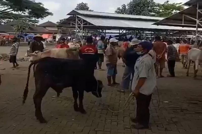 Dinas Perdagangan Gunung Kidul membuka kembali Pasar Hewan Siyono pada Minggu (11/6). (ANTARA/HO-Instagram perdagangan_gunungkidul)