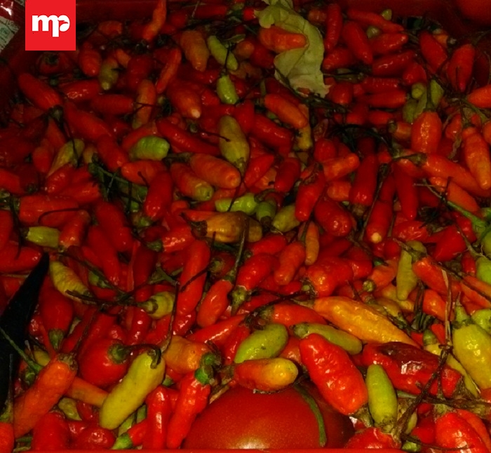 Harga Cabai Rawit Tembus Rp160 Ribu Per Kilogram