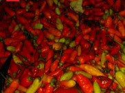 Harga Cabai Rawit Tembus Rp160 Ribu Per Kilogram