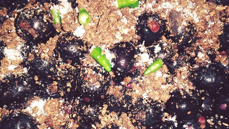 Jambe Kleng Pakai Pliek U, Rujak Aceh Paling Segar