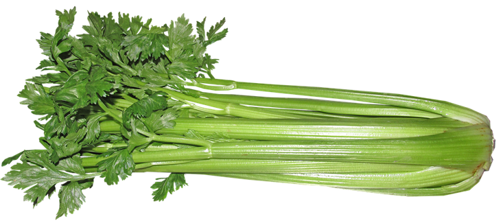 Jus seledri bisa mencegah kanker. (Foto: Pixabay/Buntysmum)